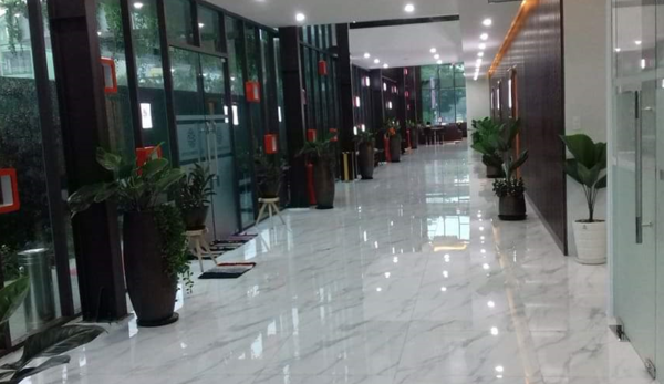 Dịch vụ cho thuê cây xanh văn phòng - Cây Xanh Phú Cường - Công Ty TNHH Dịch Vụ Và Kỹ Thuật Phú Cường